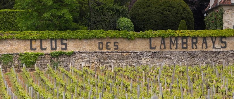 Clos des Lambrays Grand Cru - 2019 - Domaine des Lambrays
