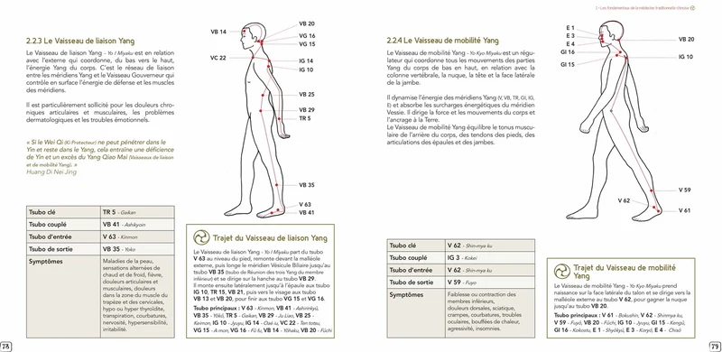 Kiyindo Shiatsu - La tonification de l'Energie