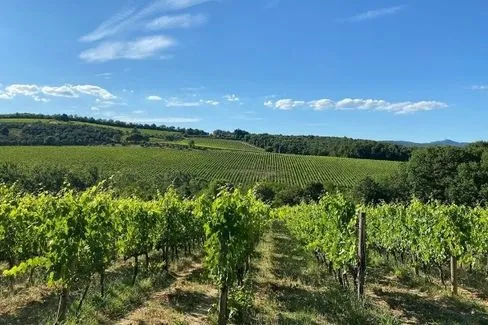 Chianti Classico Riserva Rancia - 2015 - Domaine Felsina