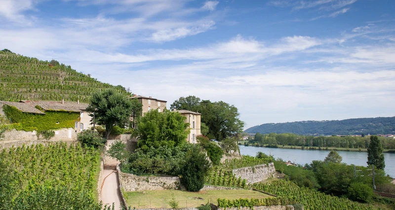 Château-Grillet - 2018 - Château-Grillet