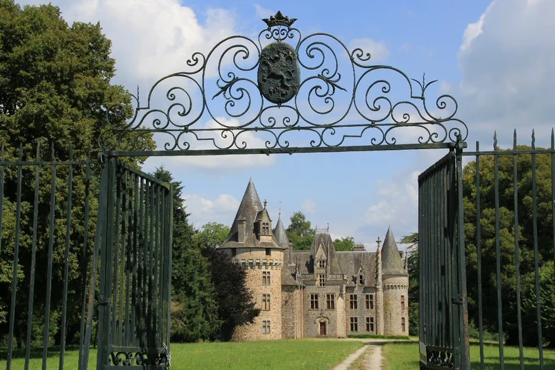 Château Tour le Pin - 2013 - Château Tour le Pin
