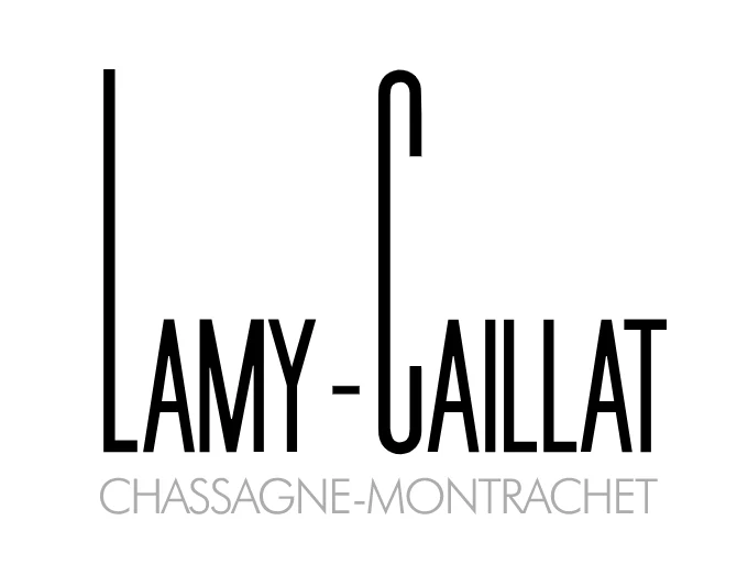 Chassagne-Montrachet 1er Cru Grande Montagne - 2018 - Domaine Lamy-Caillat