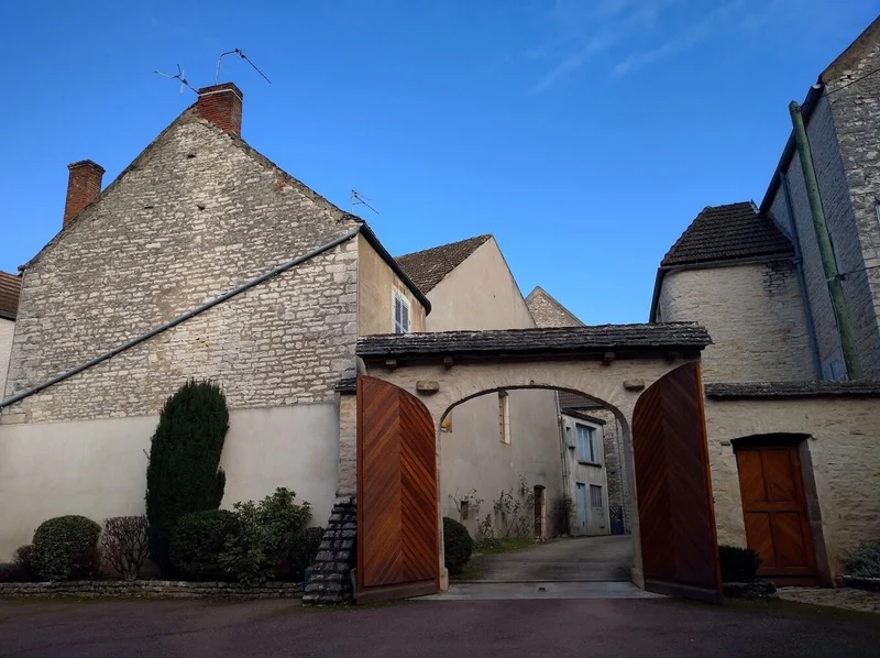 Chassagne-Montrachet 1er Cru En Remilly - 2018 - Domaine Bruno Colin