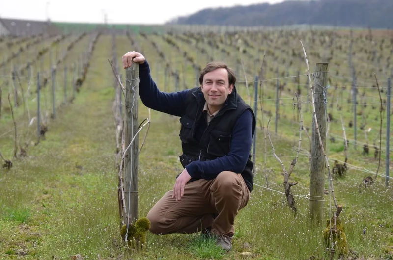 Champagne Extra-Brut Blanc de Blancs Les Pierrières - NM - Ulysse Collin