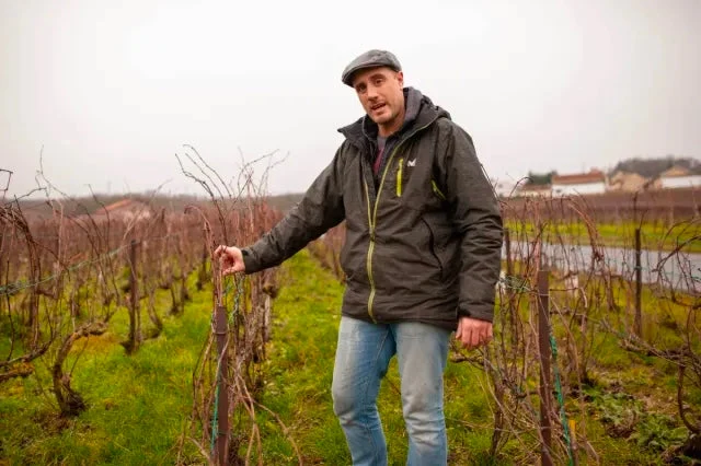Champagne Brut Nature Mouvance 17 - NM - Champagne A.Lamblot