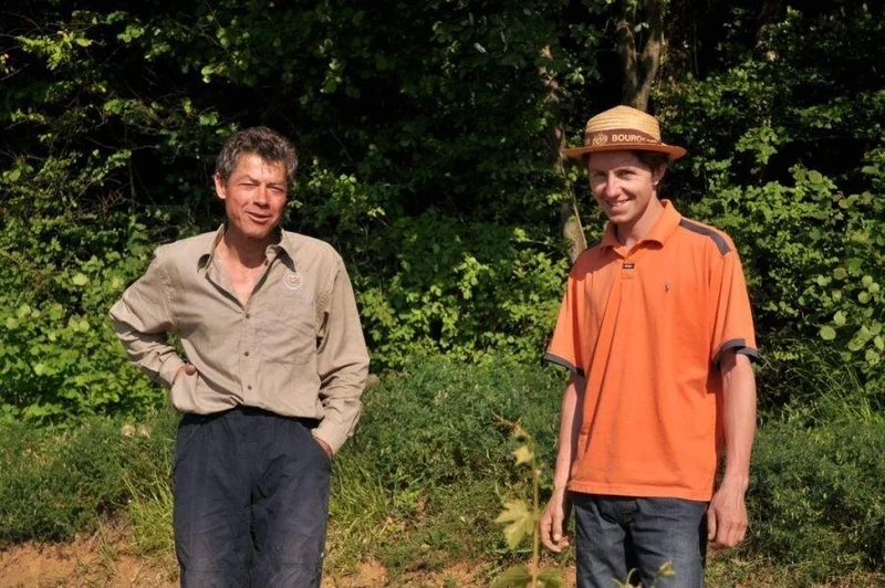 Ladoix-Serrigny Bois de Gréchon - 2015 - Domaine Sylvain Loichet
