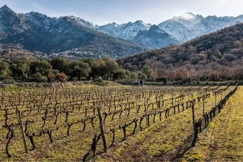 Kalliste Rouge - 2012 - Domaine U Stiliccionu