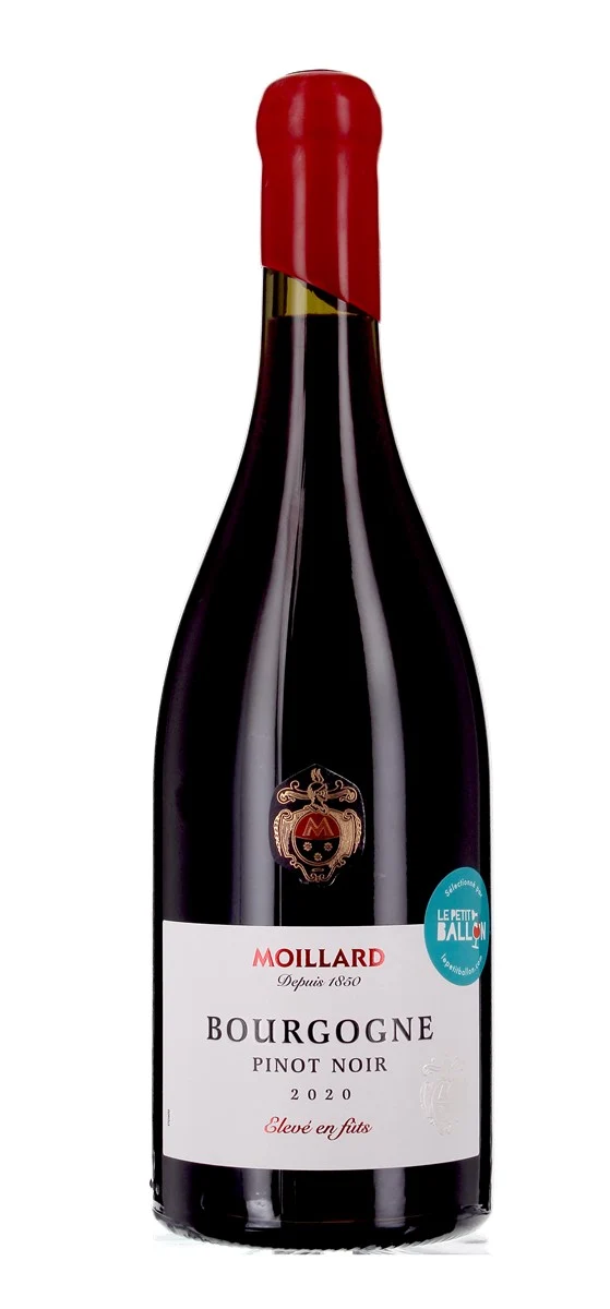 Maison Moillard - AOP Bourgogne - Rouge - 2020
