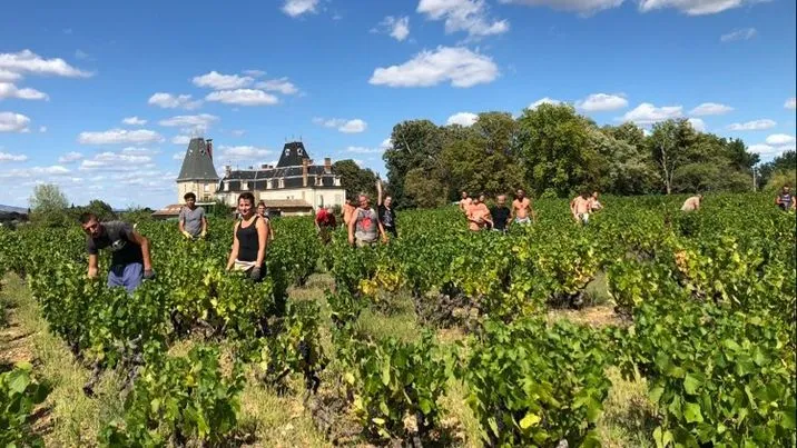 Brouilly Cuvée des Fous - 2023 - Domaine Lapalu
