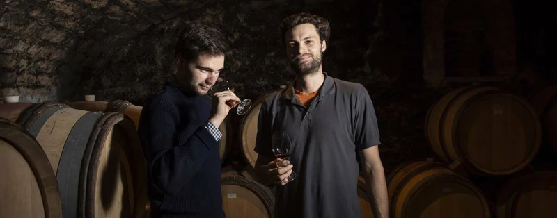 Pommard Les Vaumuriens - 2023 - Domaine Pierre et Louis Trapet