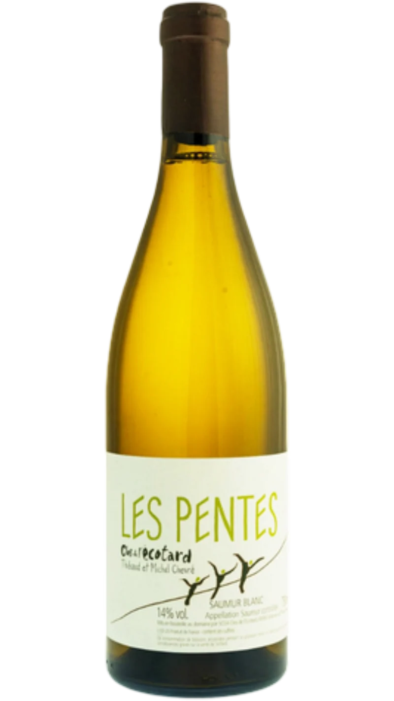 Saumur Les Pentes - 2023 - Clos de l'Écotard