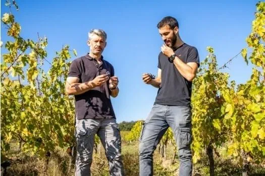 Saumur Les Bournayes - 2023 - Domaine des Closiers