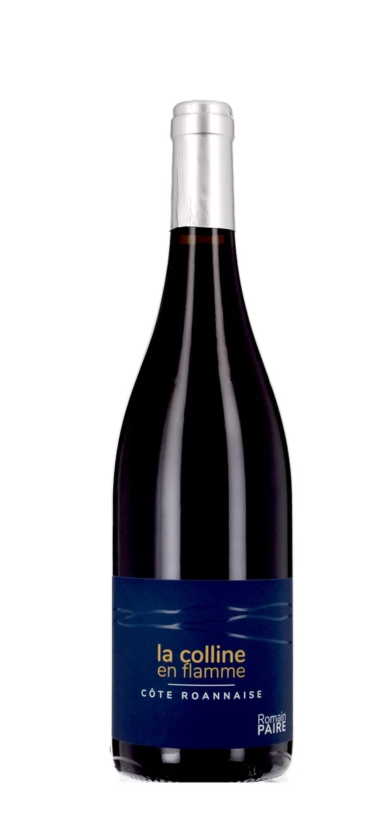 Domaine des Pothiers - AOP Côte-Roannaise - Rouge - 2022
