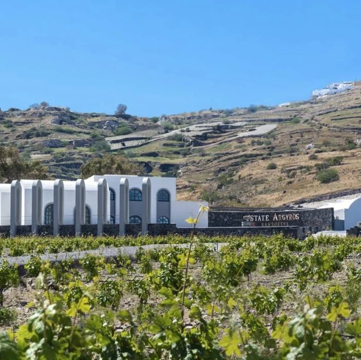 Assyrtiko Cuvée Pure Santorini - 2022 - Domaine Estate Argyros