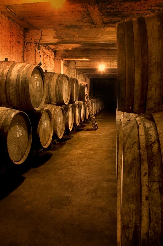 Masterclass Rayas & les vins d’Emmanuel Reynaud - Lundi 11 mai