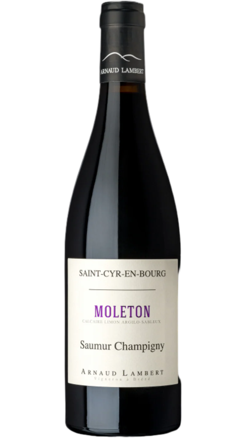 Saumur-Champigny Clos Moleton - 2017 - Domaine Arnaud Lambert