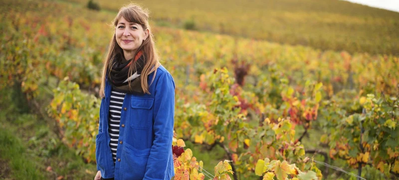 Champagne 1er Cru Brut Nature La Pirouette - 2022 - Domaine Hélène Charbaut