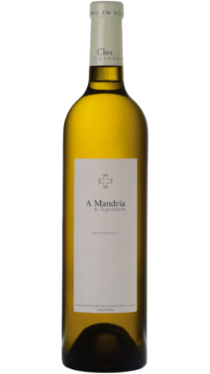 Magnum Patrimonio A Mandria di Signadore - 2024 - Clos Signadore