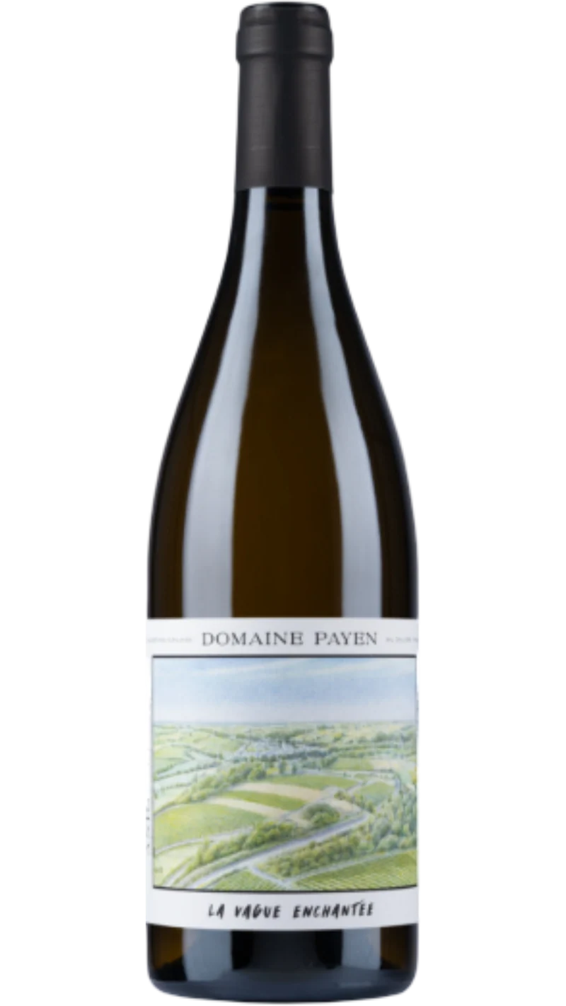 Anjou blanc La Vague Enchantée - 2024 - Domaine Payen