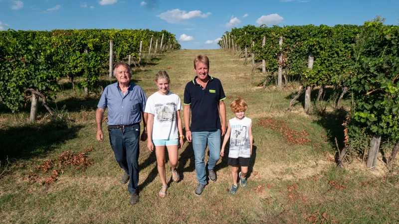 Ruché di Castagnole Monferrato Sant’Eufemia - 2024 - Domaine Ferraris