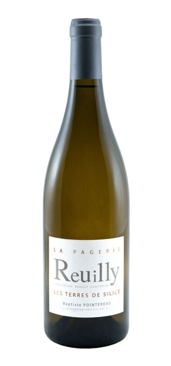 Domaine de la Pagerie - AOP Reuilly - Blanc - 2021