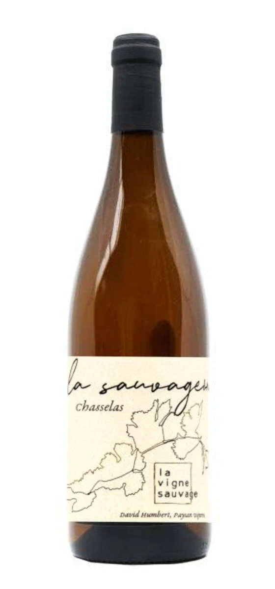 La Vigne Sauvage - Vin de France - Blanc - 2019