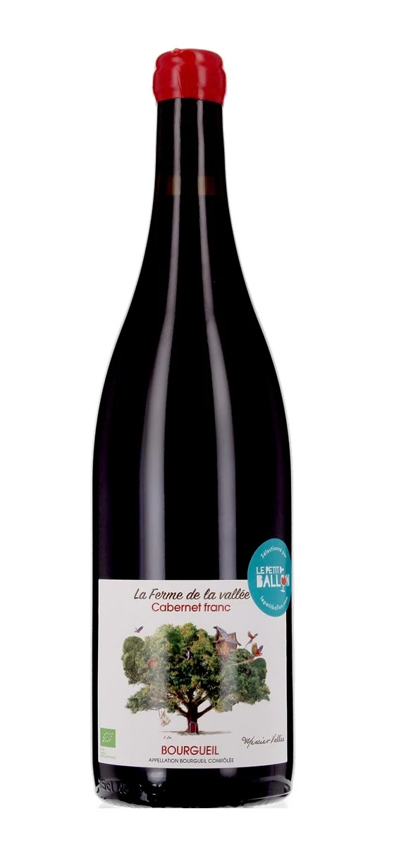 Domaine Mercier Vallée - AOP Bourgueil - Rouge - 2021