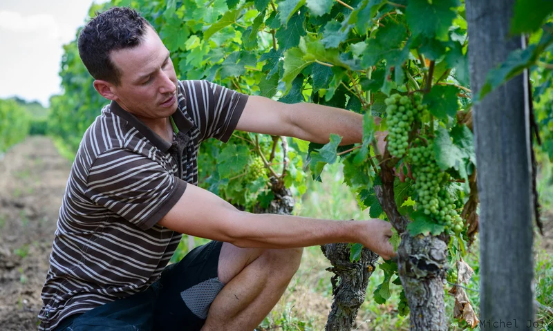 Bourgueil Grand-Mont - 2021 - Domaine Aurélien Revillot