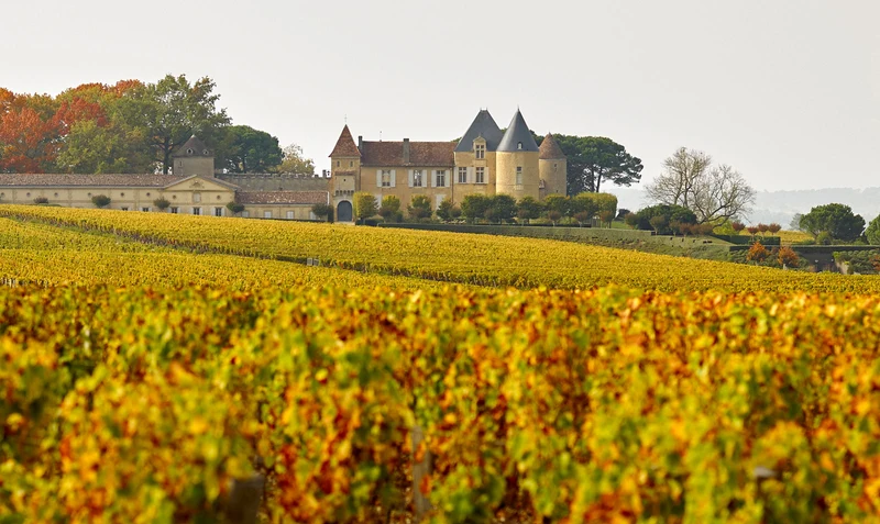 Bordeaux blanc sec Y d'Yquem - 2023 - Château d'Yquem