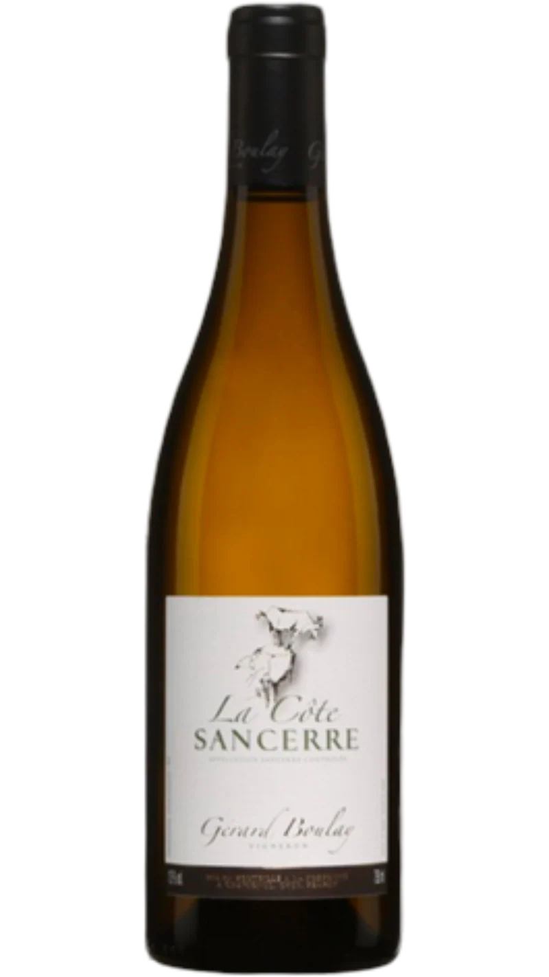 Magnum Sancerre La Côte - 2024 - Domaine Gérard Boulay