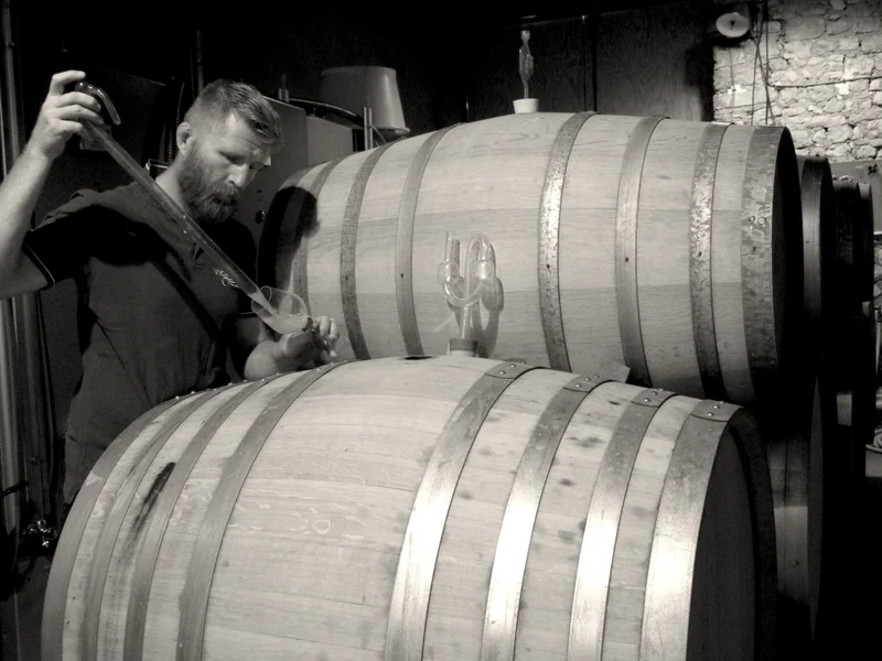 Sancerre Equilibre - 2022 - Domaine Agisson