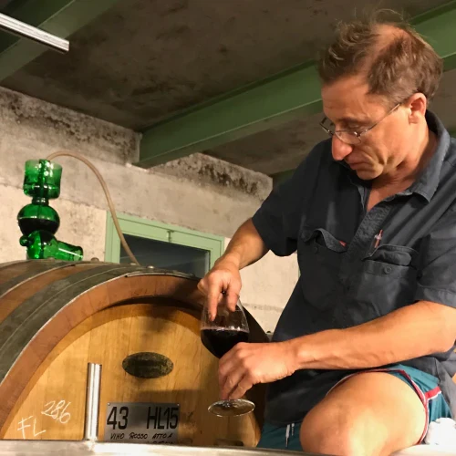 Langhe Nebbiolo - 2023 - Domaine Lapo Berti
