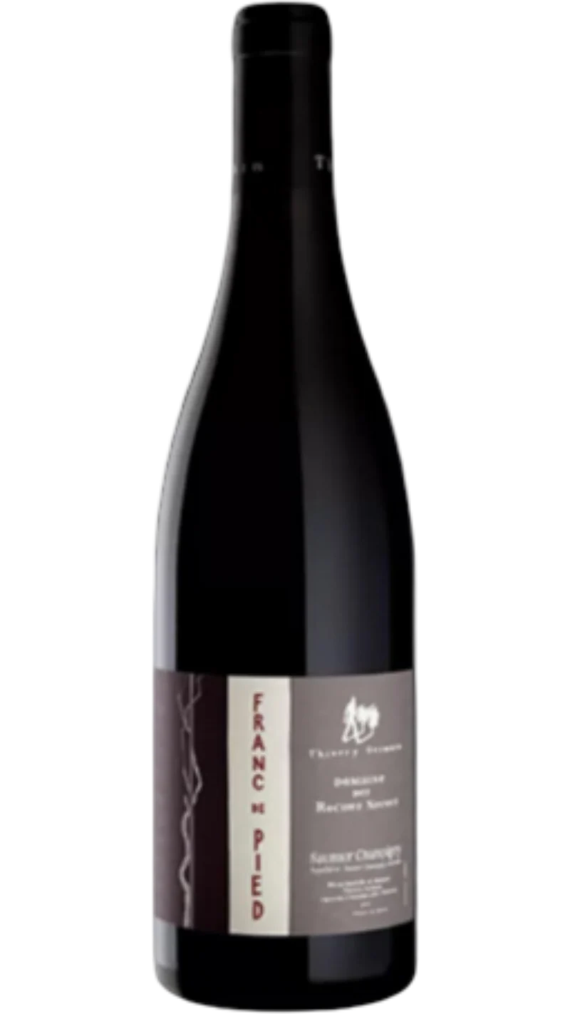 Saumur-Champigny Franc de Pied - 2023 - Domaine des Roches Neuves