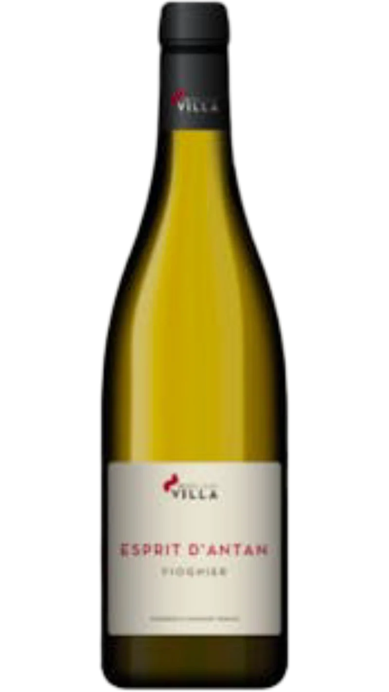 Collines Rhodaniennes Esprit d’Antan Viognier - 2024 - Domaine Pierre-Jean Villa