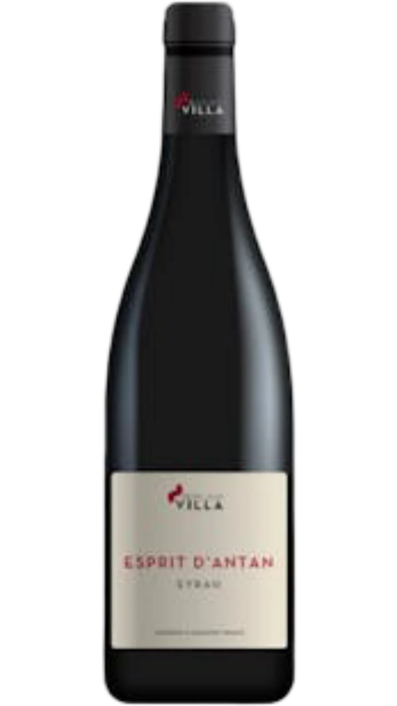 Collines Rhodaniennes Esprit d'Antan Syrah - 2023 - Domaine Pierre-Jean Villa
