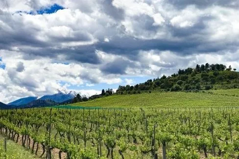 Vin de Corse IP - 2022 - Clos Venturi