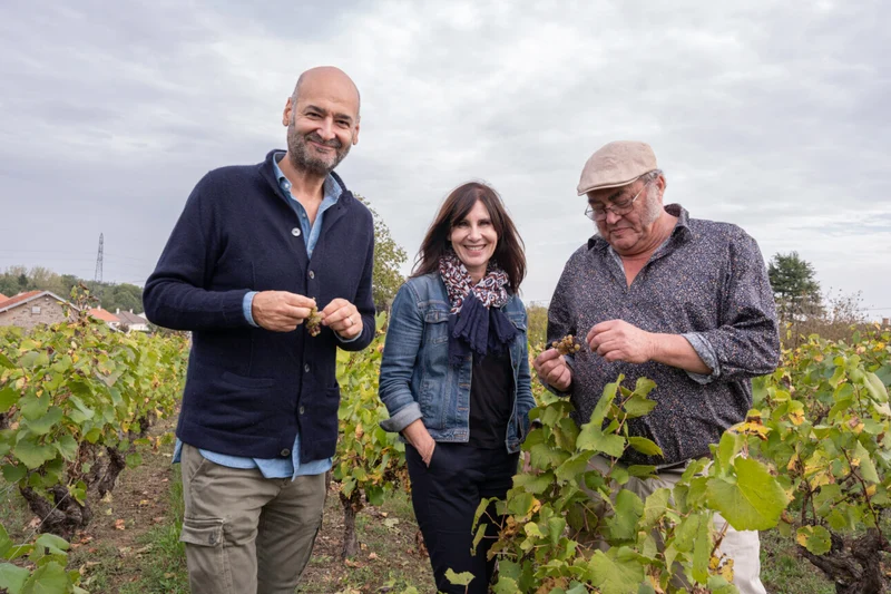 Muscadet Sèvre et Maine Cru Prélude - 2022 - Maison aux Alouettes