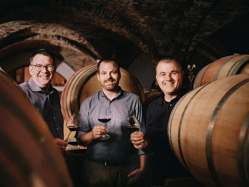 St. Laurent - 2013 - Domaine Johanneshof Reinisch
