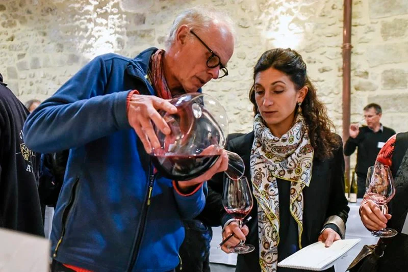 Castillon Côtes de Bordeaux Les Ormeaux - 2016 - Clos Puy Arnaud
