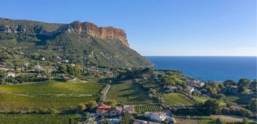 Cassis Caganis - 2022 - Domaine du Bagnol