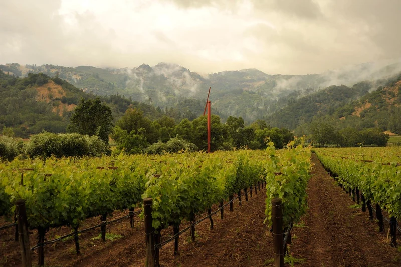 Calistoga Altagracia Cabernet Sauvignon - 2018 - Eisele Vineyard