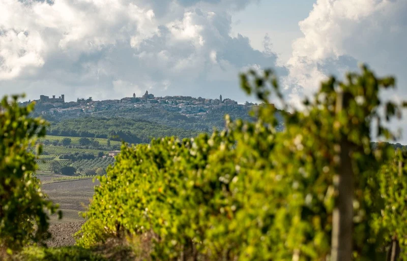 Brunello di Montalcino - 2013 - Casanova di Neri