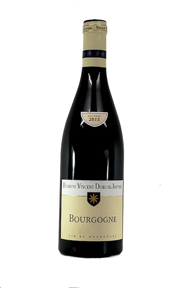 Bourgogne - 2017 - Domaine Dureuil-Janthial