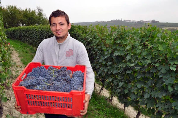 Barolo Rocchette - 2010 - Domaine Eraldo Viberti