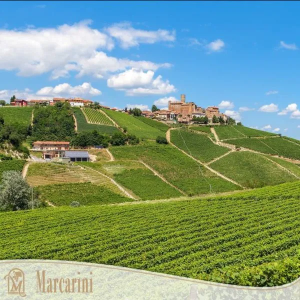 Barolo La Serra - 2009 - Domaine Marcarini