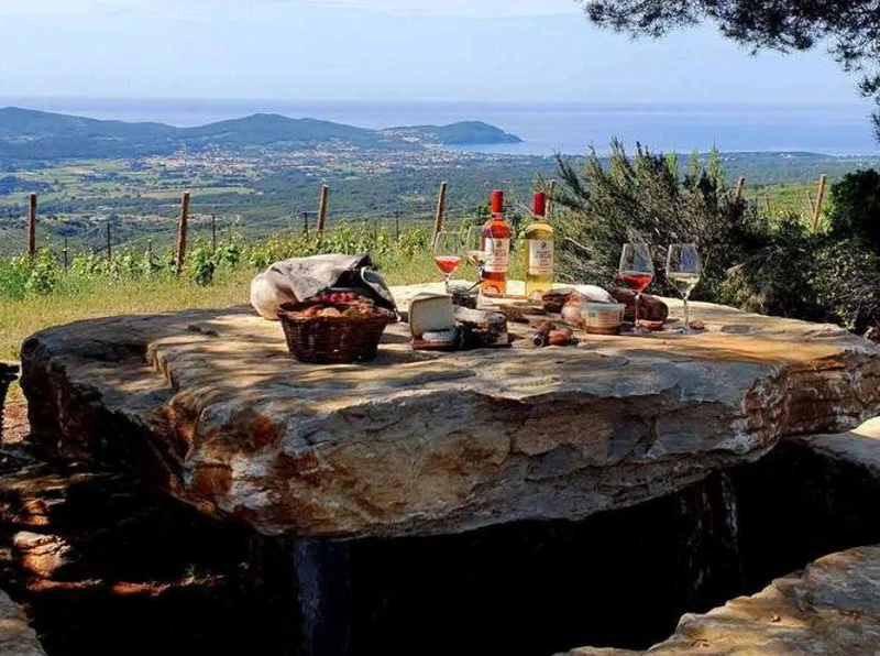 Bandol "La Brulade" 2013 - Domaine de la Bégude - 2013 - Domaine de la Bégude