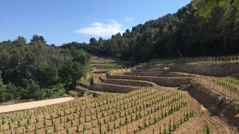 Bandol - 2018 - Baravéou