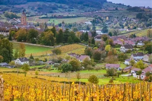 Arbois Vin Jaune - 2012 - Jacques Puffeney