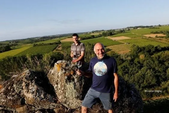 Anjou Vent de Spilite - 2017 - Domaine Ogereau