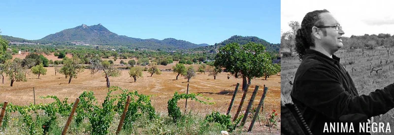 Anima Negra AN2 - 2016 - Domaine Ànima Negra